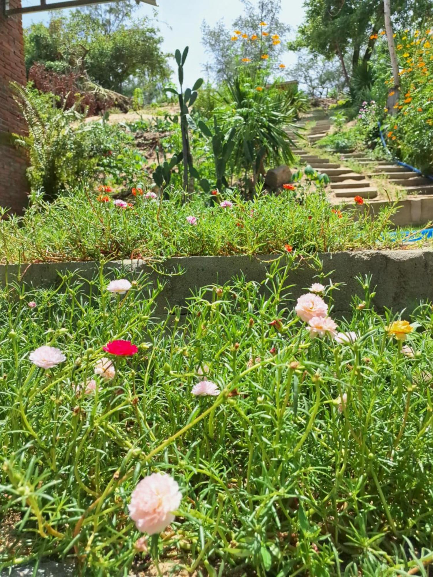 Homestay Dat Phu Tuy Hoa Esterno foto