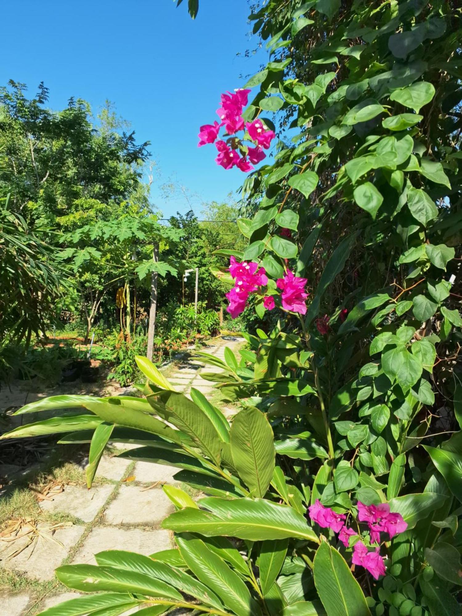 Homestay Dat Phu Tuy Hoa Esterno foto